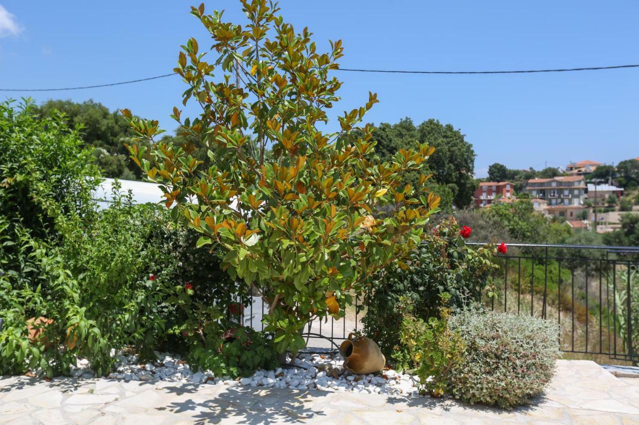 Pelagos Apartments Skala  Eksteriør billede